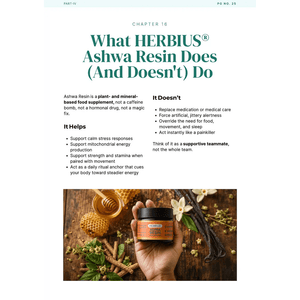 The Bone-Deep Fatigue Breakthrough Guide eBook Herbius 