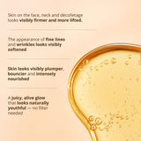 Yauvari Amplified Youth Spring - Best Face Moisturizer for Dry Skin, Aging or Mature Skin - Natural Skincare with Natural Vitamin E & Vitamin B Face oil iYURA 