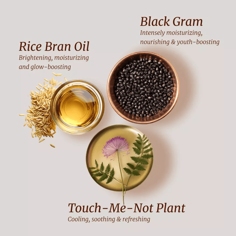 Yauvari Amplified Youth Spring - Best Face Moisturizer for Dry Skin, Aging or Mature Skin - Replaces Your Anti Aging Moisturizer - Natural Skincare with Natural Vitamin E, Vitamin A, Vitamin B Face oil iYURA 