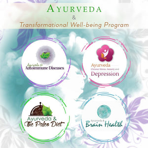 Ayurveda and Transformational Well-Being Program - Dr. Akil Palanisamy Educational Course The Ayurveda Experience 