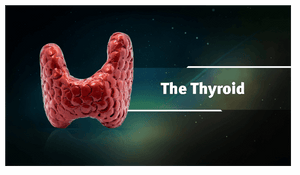 Ayurveda & Thyroid Health Platinum Educational Course Experience Ayurveda 