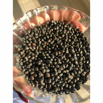 Balaayah Black Gram Body Booster -With the Richness of Black Gram - Pick your size Body Oil iYURA