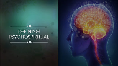Emotions & Digestive Disorders Platinum Educational Course Experience Ayurveda