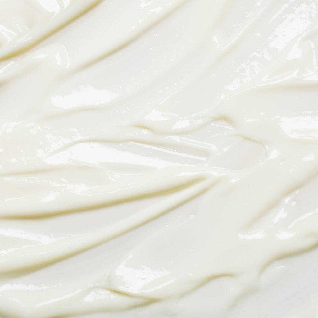 Black Gram Trio | The Ayurveda Experience