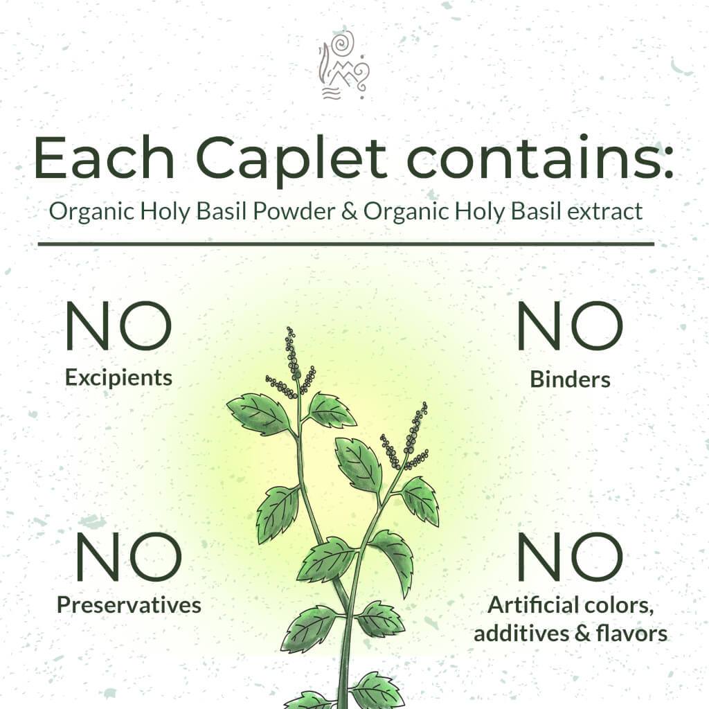 Organic Tulsi - For Calmness and Relaxation Supplements Ayuttva 