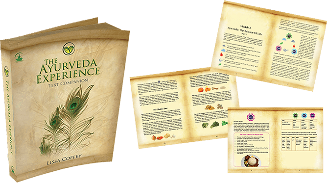 The Ayurveda Experience - Platinum Experience Ayurveda 