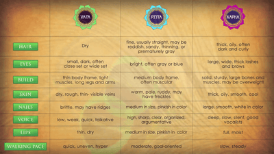 The Ayurveda Experience - Silver Educational Course Experience Ayurveda